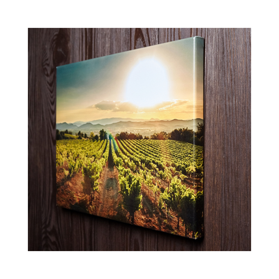 High-Quality Canvas Printing for Lasting Beauty